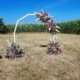 Arche florale champêtre