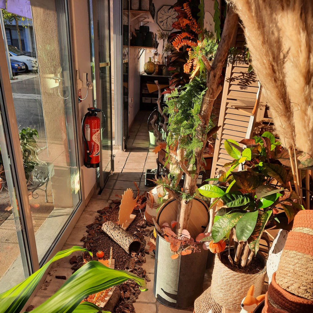 Vitrine de boutique avec un thème naturel et automnal