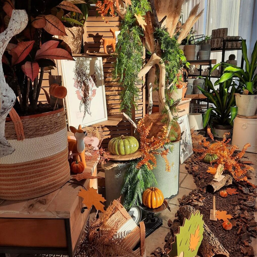 Vitrine de boutique avec un thème naturel et automnal Vitrine de boutique avec un thème naturel et automnal